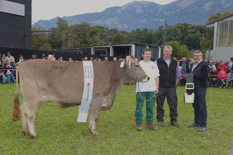 Der vierte Miss-Titel von Kuh Estell ist ein schönes Geschenk zum 18. Geburtstag