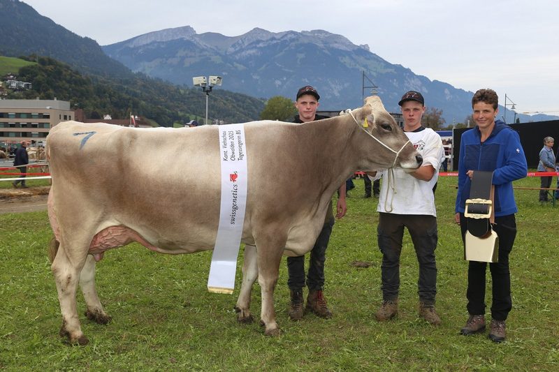 Der vierte Miss-Titel von Kuh Estell ist ein schönes Geschenk zum 18. Geburtstag