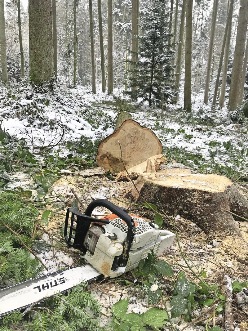 Tipps gegen Gauner und Datendiebe auf dem Bauernhof