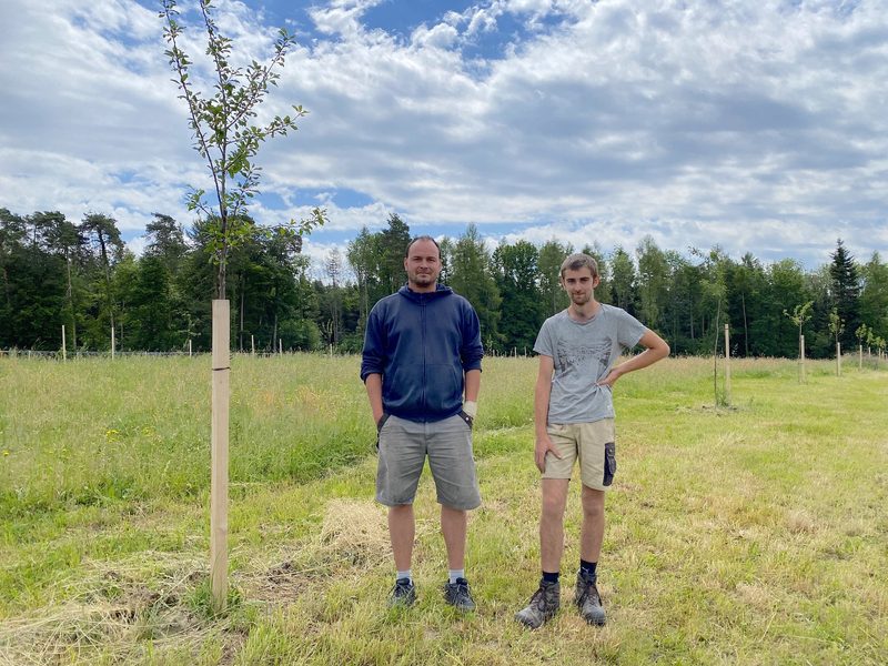«Wir wollen den ganzen Betrieb auf Agroforst umstellen»