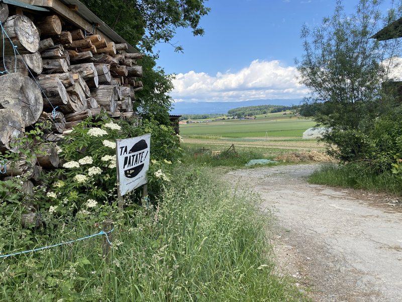 «Wir wollen den ganzen Betrieb auf Agroforst umstellen»