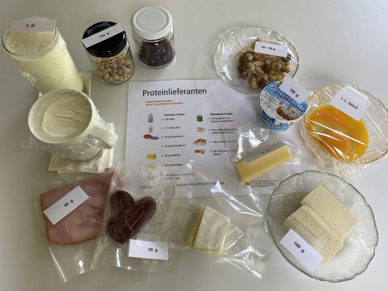 Proteine in der täglichen Ernährung – worauf kommt es wirklich an?