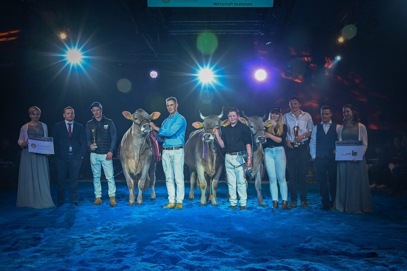 Eine Perle gewinnt die Zentralschweizer Rindernightshow