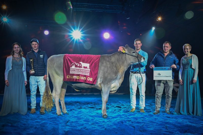 Eine Perle gewinnt die Zentralschweizer Rindernightshow
