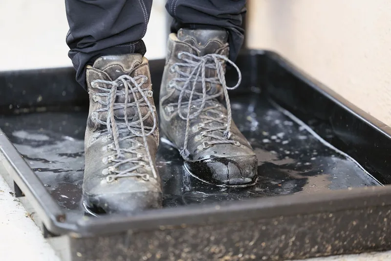 Zwei Schuhe stehen im Becken mit der Desinfektionslösung.