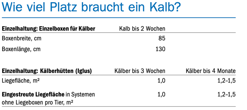 Das Tränkerangebot auf dem Markt steigt – Mastremonten bieten eine lukrative Alternative