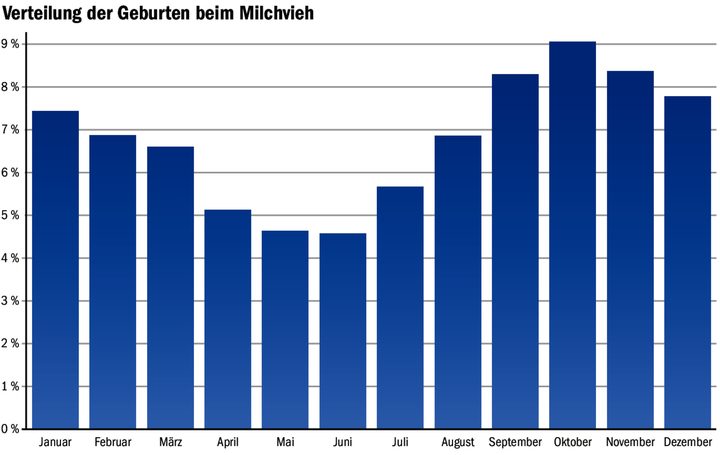Deutliche Schwankungen bei den Abkalbungen: Während in den Wintermonaten ein Grossteil der Milchkühe abkalbt, ist es in den Sommermonaten ein deutlich geringerer Anteil.