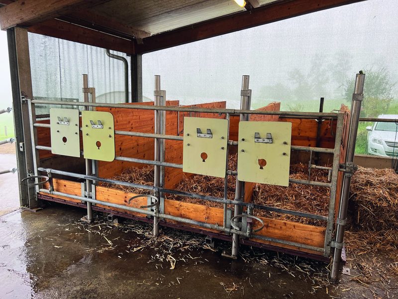 Tagebuch: Holz und Anlässe im Dezember 2021