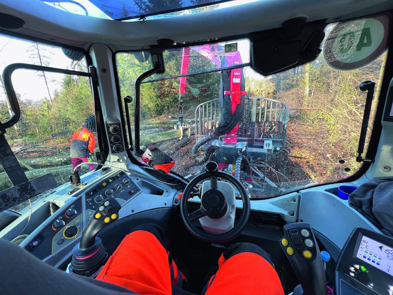 Tagebuch: Holz und Anlässe im Dezember 2021