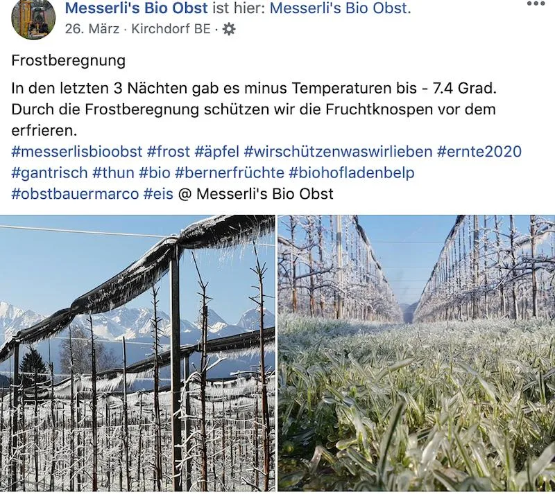 Landtechnik: Der Ladurner hackt bei Messerlis den Baumstreifen sauber