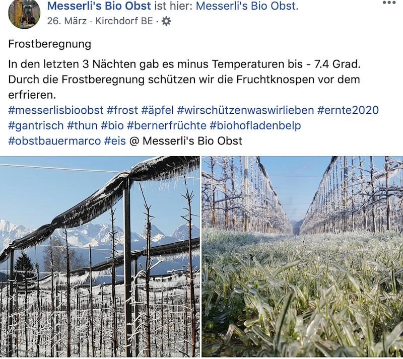 Landtechnik: Der Ladurner hackt bei Messerlis den Baumstreifen sauber