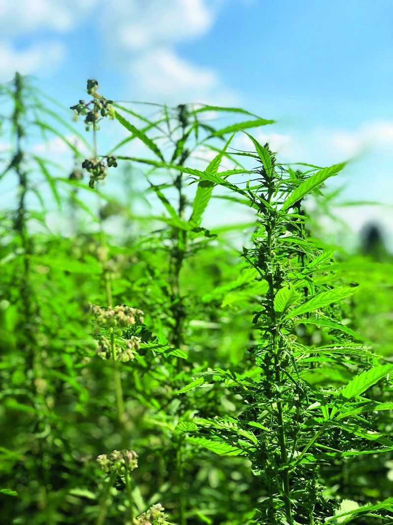 Etwas mehr Geld für Milch im 2022