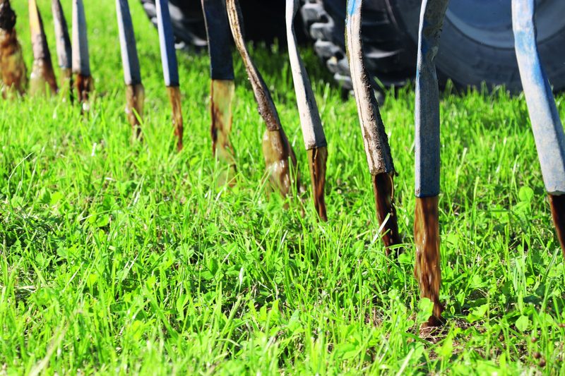Etwas mehr Geld für Milch im 2022