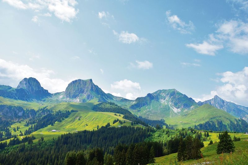 Ein Panorama sondergleichen (v. l. n. r.): die Nünene, der Gantrisch, der Bürglen und der Ochsen.