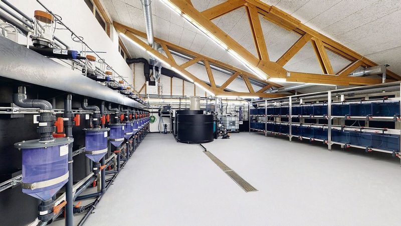 Hier kann zu Fischgesundheit, Fütterung und vielem mehr geforscht werden: Die moderne Kreislaufanlage des Aquaforums.