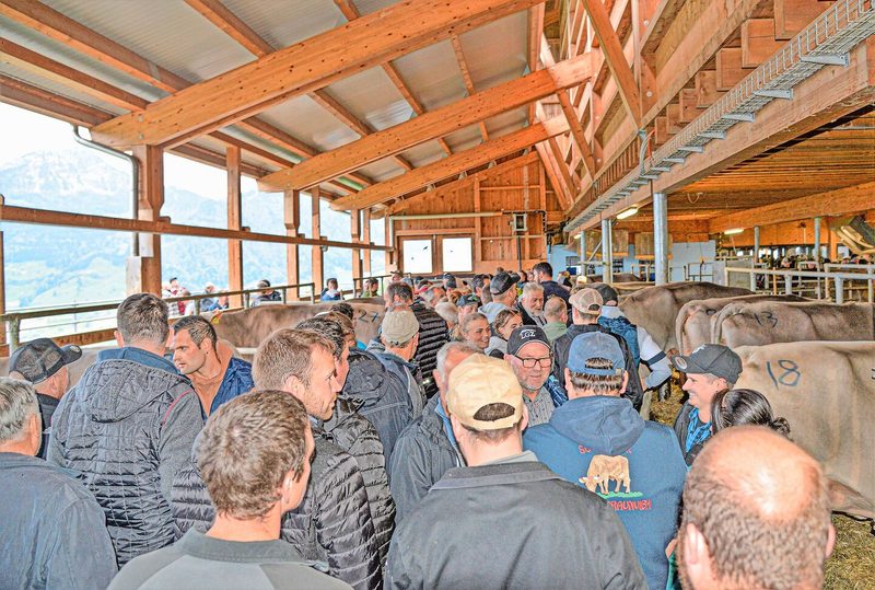 Trotz grosszügigen Platzverhältnissen wurde es eng im Stall des Hofs Charenwäldli.