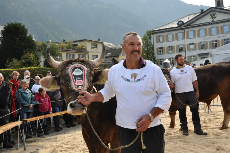 Peggy-Sue war die Schönste in Glarus