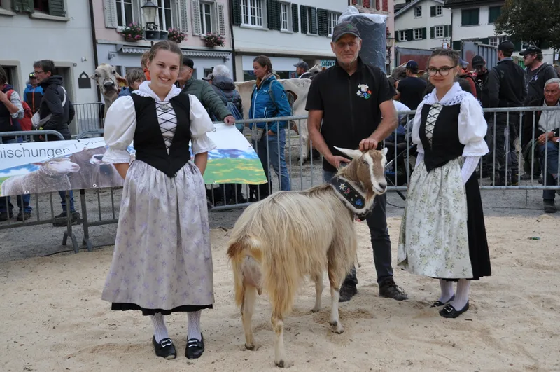 Peggy-Sue war die Schönste in Glarus