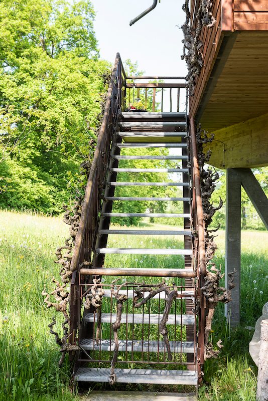 Swissfarm in Luzern: Übernachten im Wurzelbaumhaus
