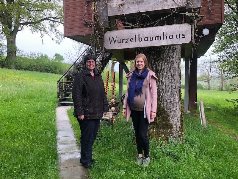 Swissfarm in Luzern: Übernachten im Wurzelbaumhaus
