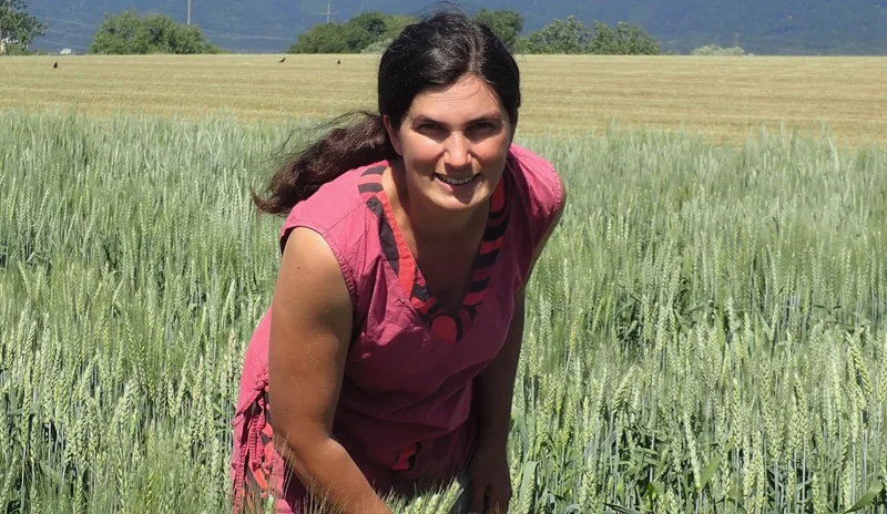 Cécile Brabant arbeitete bei Agroscope Changins. In ihrer Heimat Frankreich wird Sommergerste infolge des Klimawandels immer öfter bereits im Herbst gesät. Bild: Agroscope/zVg