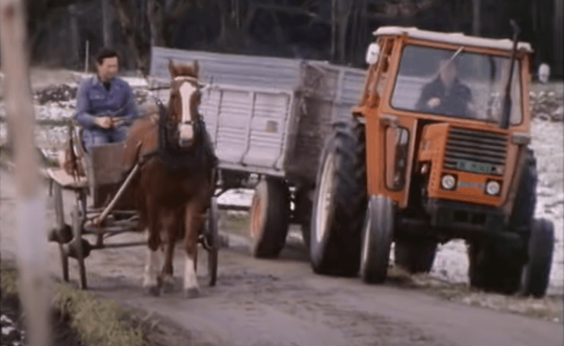 Pferdestärken in der Landwirtschaft – früher und heute