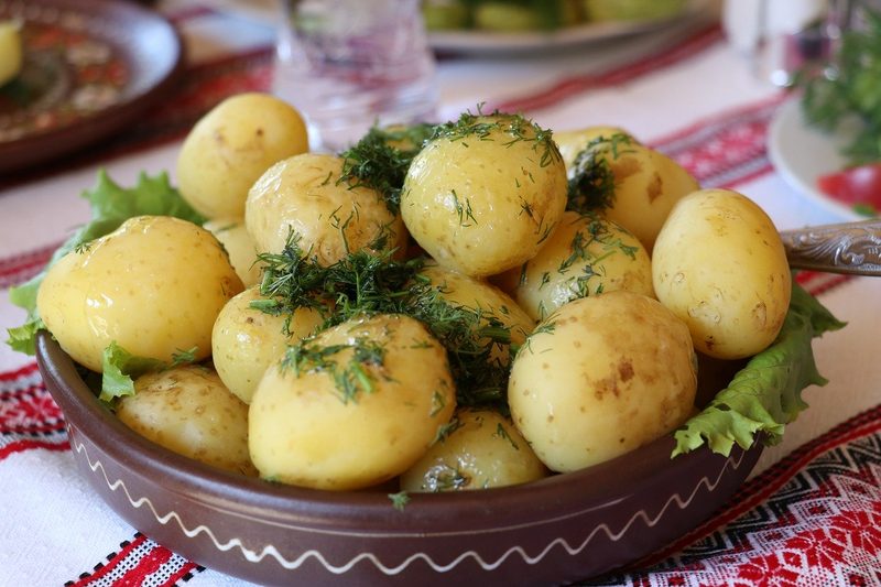 Butterzarte Delikatesse: Die Frühkartoffel