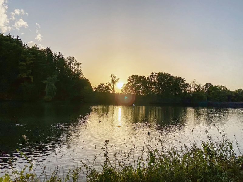 Bis weit in den September hinein zeigten sich die Temperaturen heuer sommerlich. Nach einem Kälteeinbruch mit kräftigem Regen bescheren uns die Luftströmungen über dem Atlantik aktuell einen goldenen Altweibersommer.