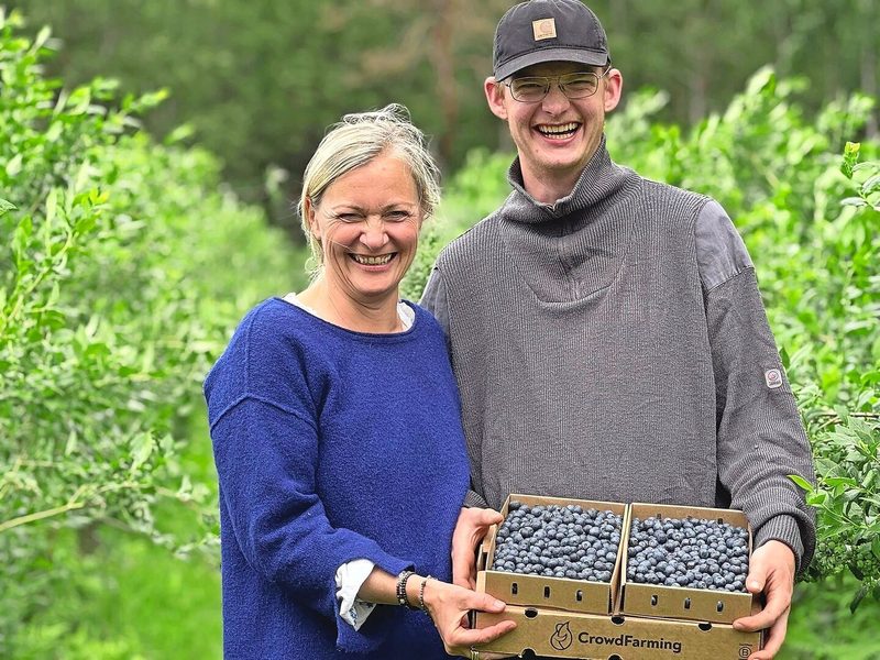 Jost, der jüngste Sohn von Sylke Herse, ist in den Betrieb eingestiegen und übernimmt im pflanzenbaulichen Bereich bereits viel Verantwortung.