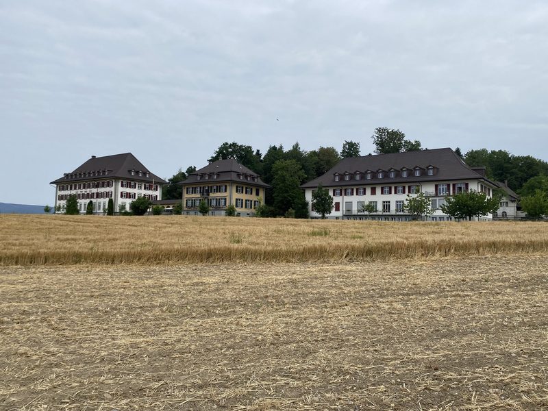 Vor 100 Jahren nahm die Geschichte des Waldhofs ihren Anfang