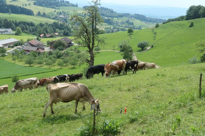 Pro Natura setzt für eine ökologischere Produktion bei Hofübergaben an