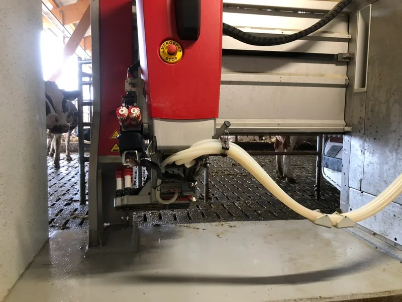 Erster Lely Astronaut A5 Next der Schweiz: Familie Sperisen melkt mit neuster Robotertechnik