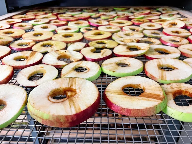 Äpfel in Form von Schnitzen und Ringli (hier von der Sorte Boskoop) sieht man in der Dörranlage häufig.