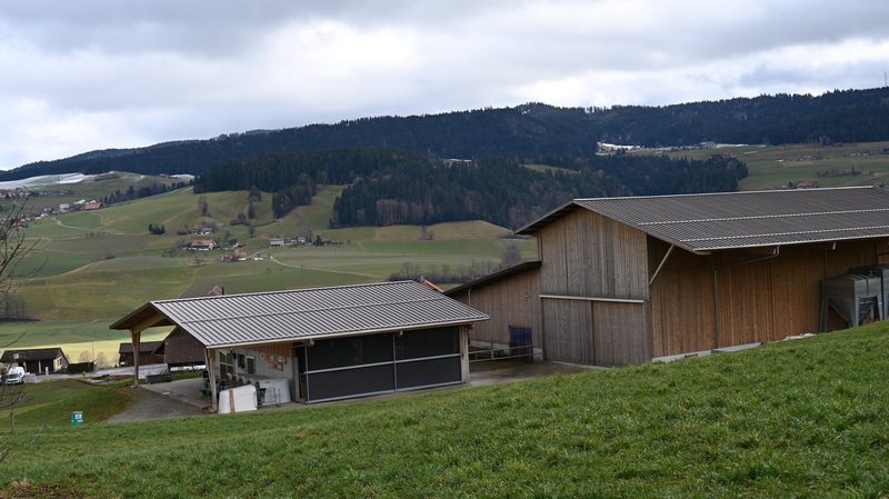 Meisterlandwirtin Beatrice Brechbühl: «Kenne das Gefühl, eine Rabenmutter zu sein»