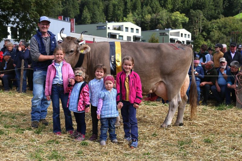 Stolzes Vieh und strahlende Züchterfamilien an der Urner Kantonalen Grossviehschau
