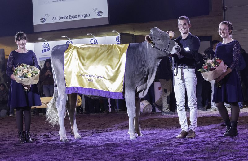 Luzerner Jungzüchter überzeugen an Junior Expo Aargau