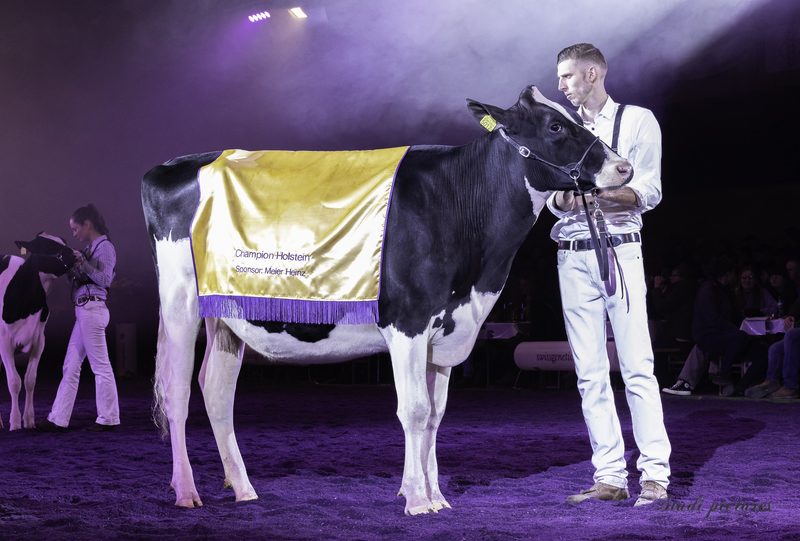 Luzerner Jungzüchter überzeugen an Junior Expo Aargau