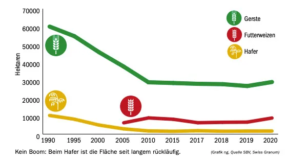 Haferboom: Noch (k)ein Eldorado für die Produzenten