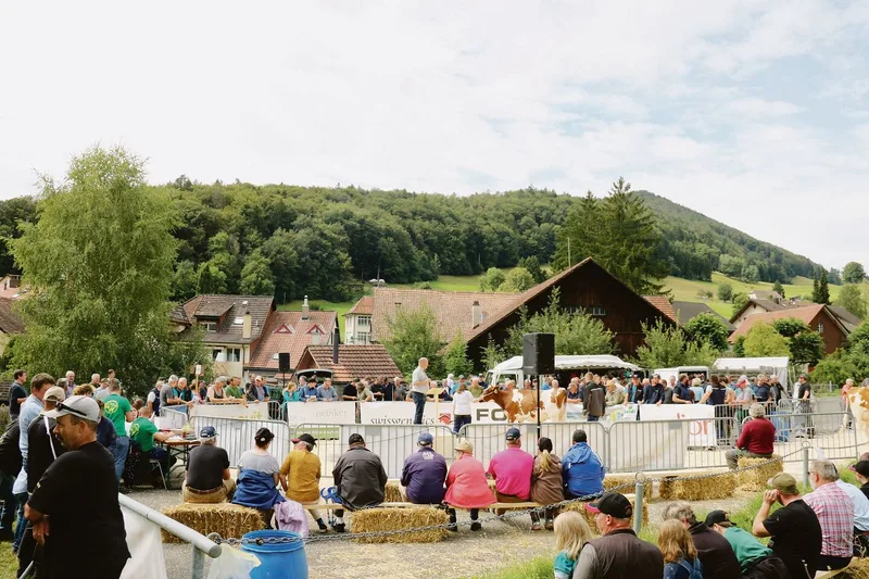 Der Ring ist in den letzten zwei Jahren kleiner geworden. Das Interesse von Verkäufern und Käufern ist hingegen gleich geblieben.