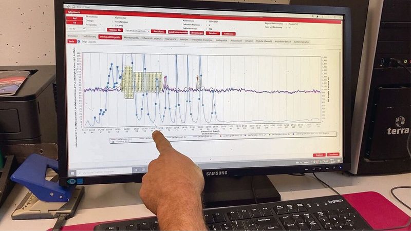 Anhand der Milchdaten analysiert Rickli seine 48 Kühe. Die Zellzahl der Kuh Bionda sank nach der Verabreichung massiv.