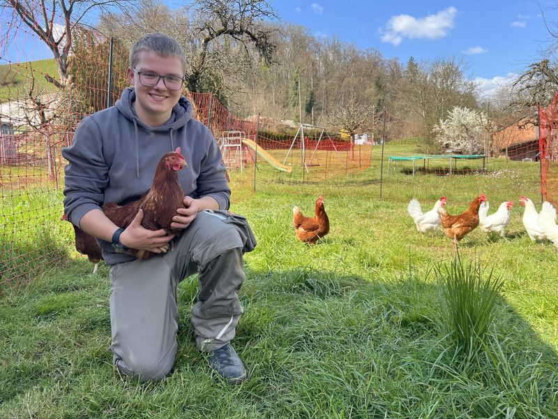 Sandro Schneider aus dem Aargau: «Naomi ist mein Liebling auf dem Betrieb»