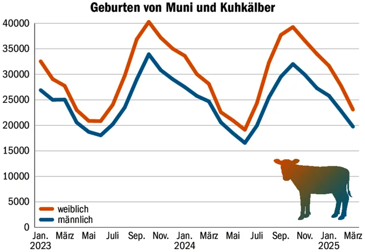 Diese Kurven müssten dringend geglättet werden. Das Überangebot im Winter führt vermehrt zu Tränkerschlachtungen.