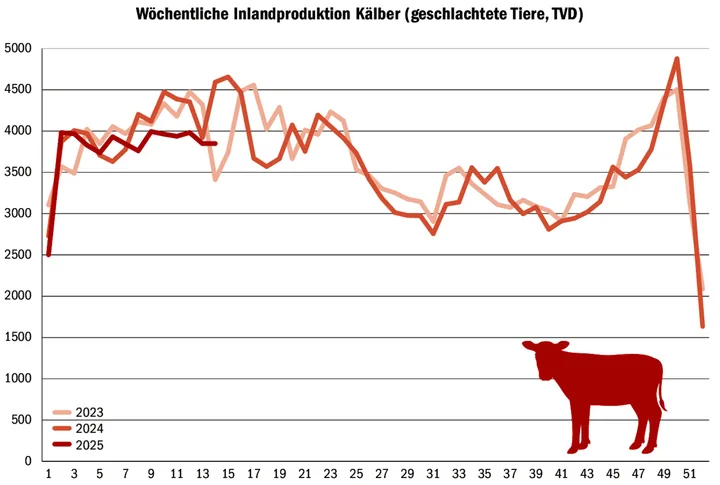 Woche für Woche weniger Kälber: Derzeit liegt die Zahl der geschlachteten Kälber unter den Vorjahren. Schuld dürfte die Blauzunge sein, aber auch die Tränkerschlachtungen.