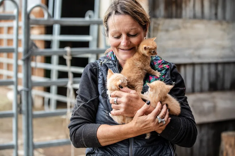 Gesunde, stubenreine und geimpfte Bauernhofkatzen sind gefragt, hat Anna Neuenschwander festgestellt. Bild: Pia Neuenschwander