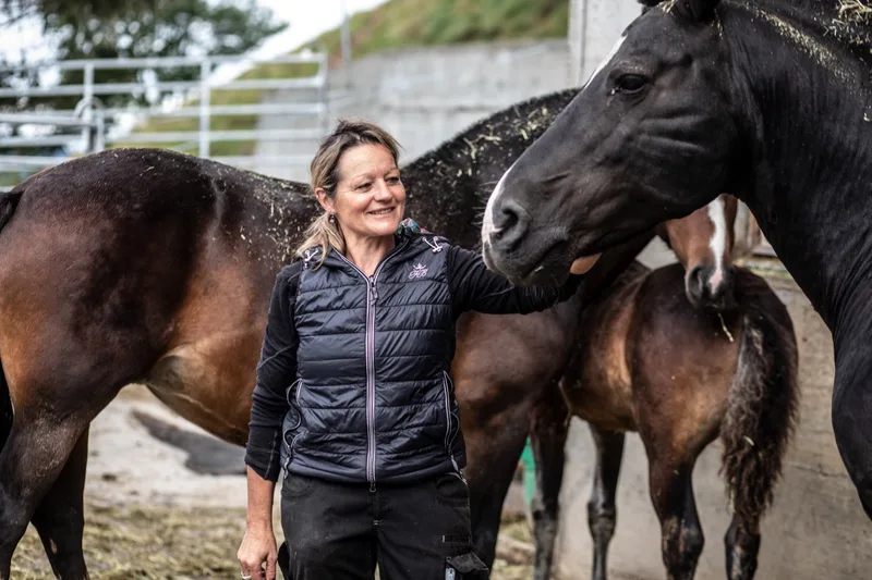 Der schwarze Freiberger-Hengst Haras vom Oberschopf lebt mit der Stute Elien und Fohlen Hope zusammen. Bild: Pia Neuenschwander