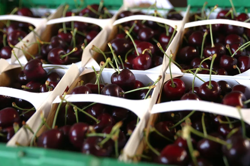 Obstbau im Wandel: Ernte, Markt und Arbeitskräfte im Fokus