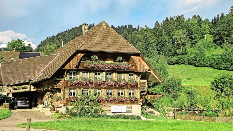 Die traditionelle Pracht an Bauernhäusern und in ihren Gärten verursacht Freude, aber auch viel Arbeit. Was, wenn es einfach nicht für alles reicht? Wer Geflügel mag, kann auf der Gartenfläche zum Beispiel Gänse halten. Aber Vorsicht: es handelt sich um ein Weidetier.