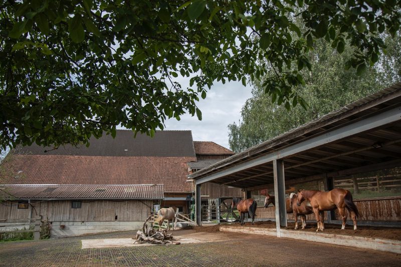 Familie Anderhub setzt seit der Betriebsübernahme auf selektive Entwurmung. Bild: Pia Neuenschwander