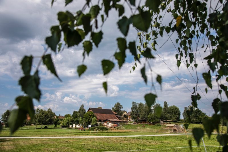 Der Betrieb liegt in Eschenbach LU. Bild: Pia Neuenschwander