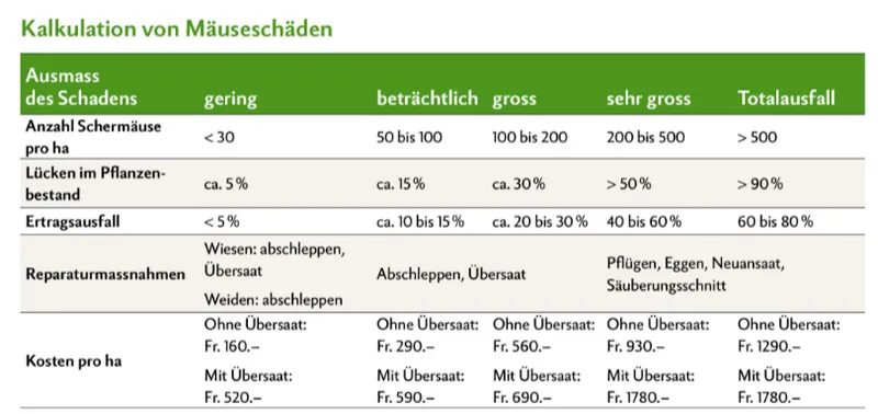 Wenn Mäuse zum teuren Problem werden